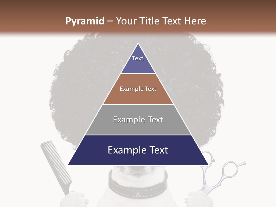 Russell Isolated Terrier PowerPoint Template