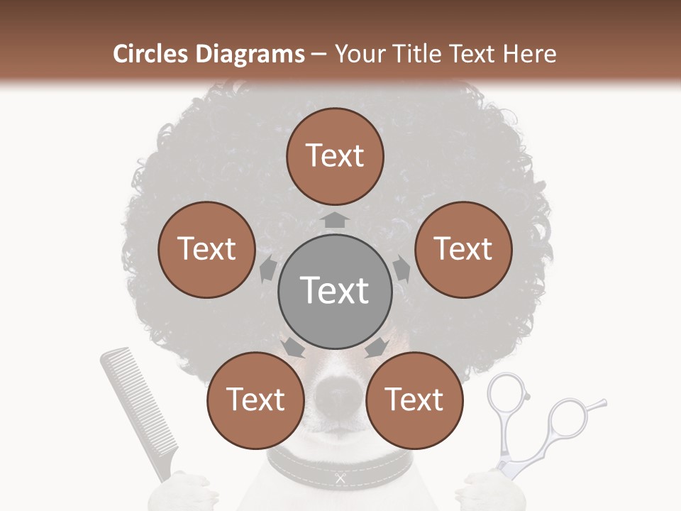 Russell Isolated Terrier PowerPoint Template