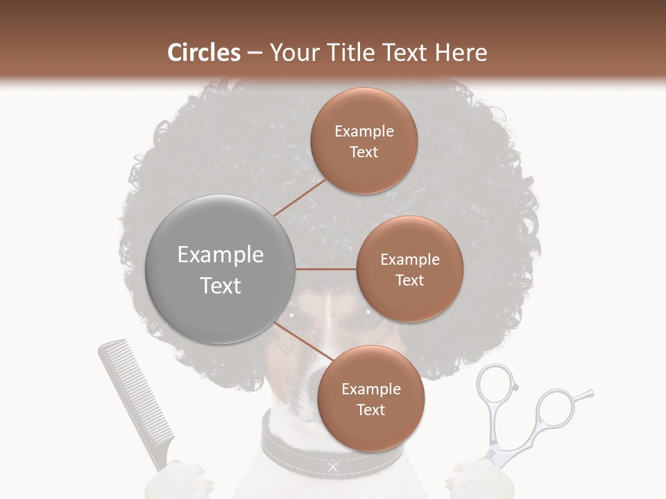 Russell Isolated Terrier PowerPoint Template