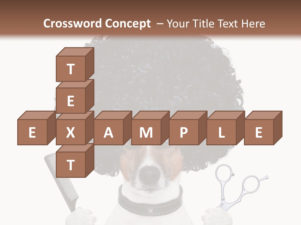 Russell Isolated Terrier PowerPoint Template