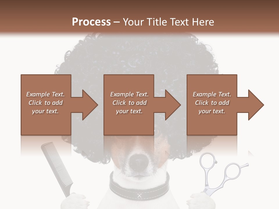 Russell Isolated Terrier PowerPoint Template