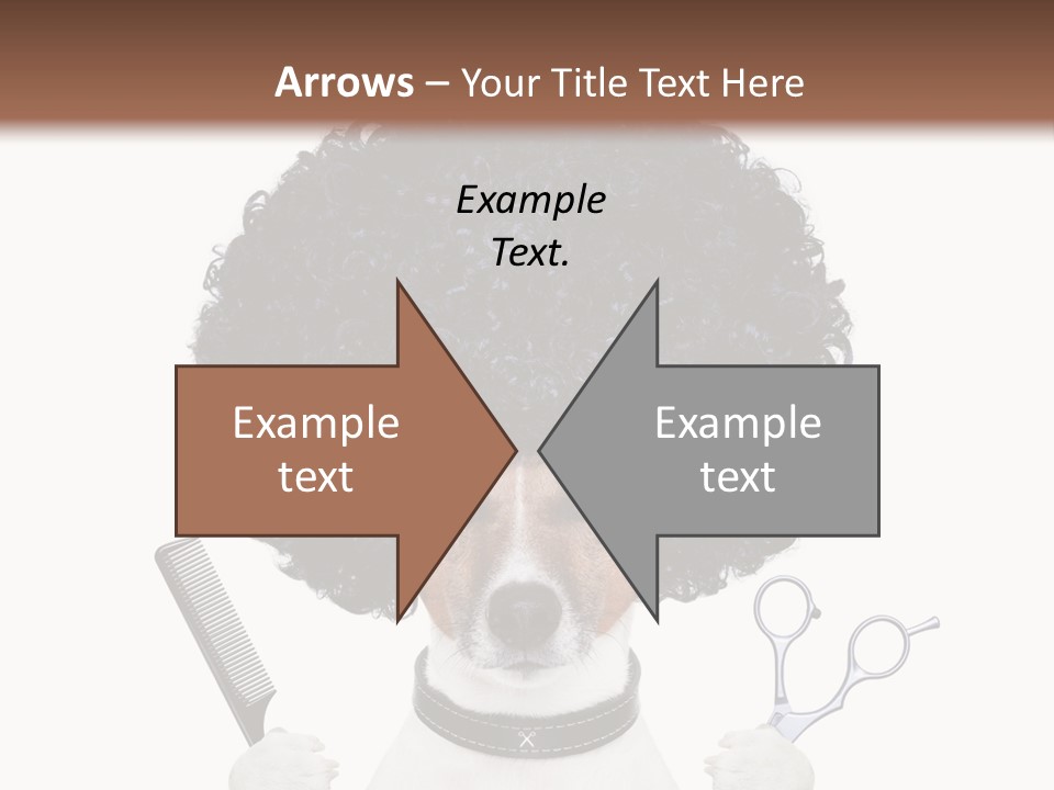 Russell Isolated Terrier PowerPoint Template