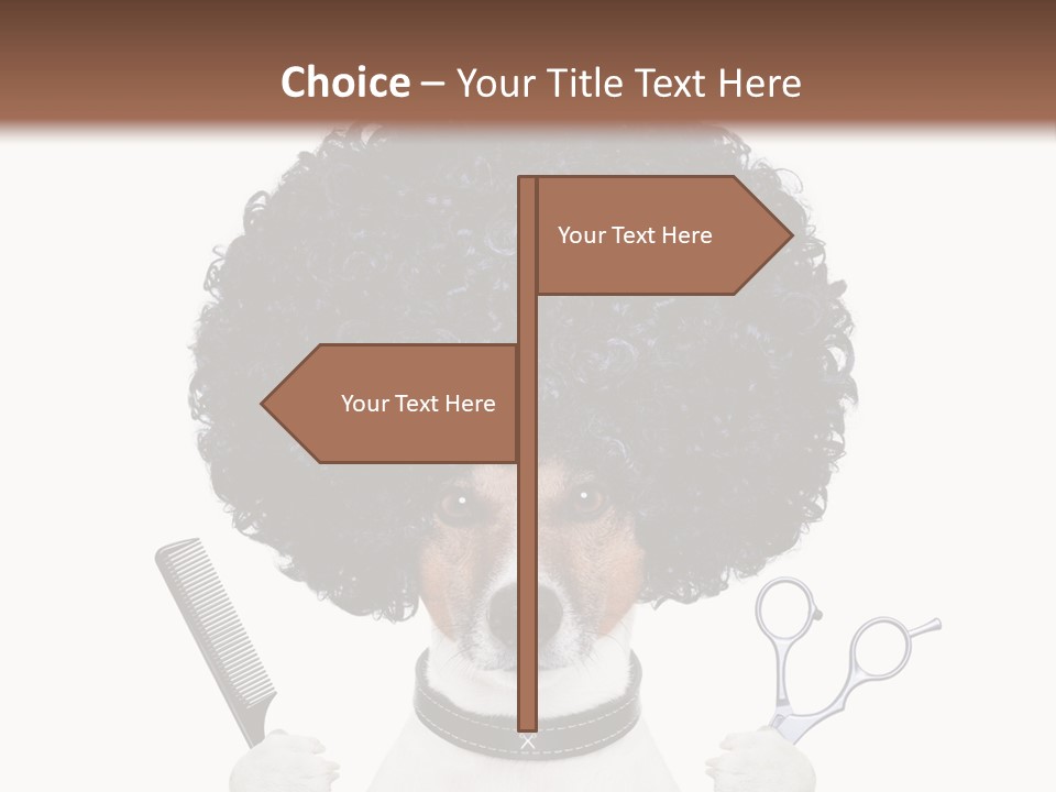 Russell Isolated Terrier PowerPoint Template