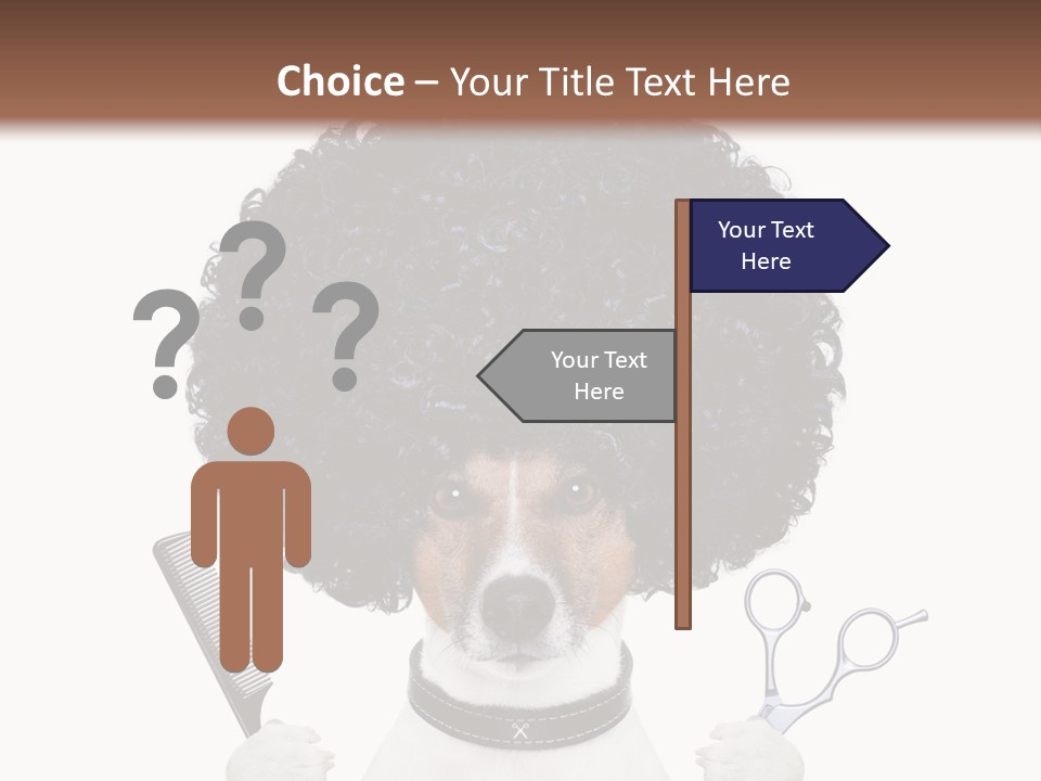 Russell Isolated Terrier PowerPoint Template