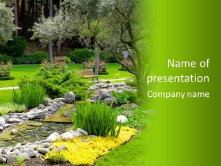 Plant Japanese Water PowerPoint Template