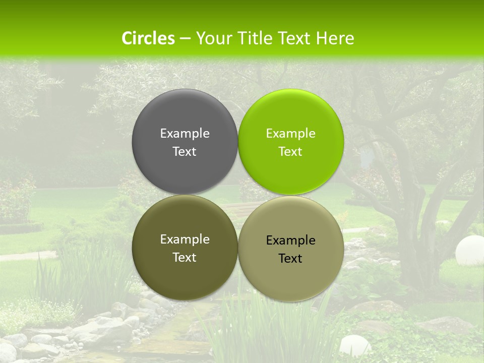 Plant Japanese Water PowerPoint Template