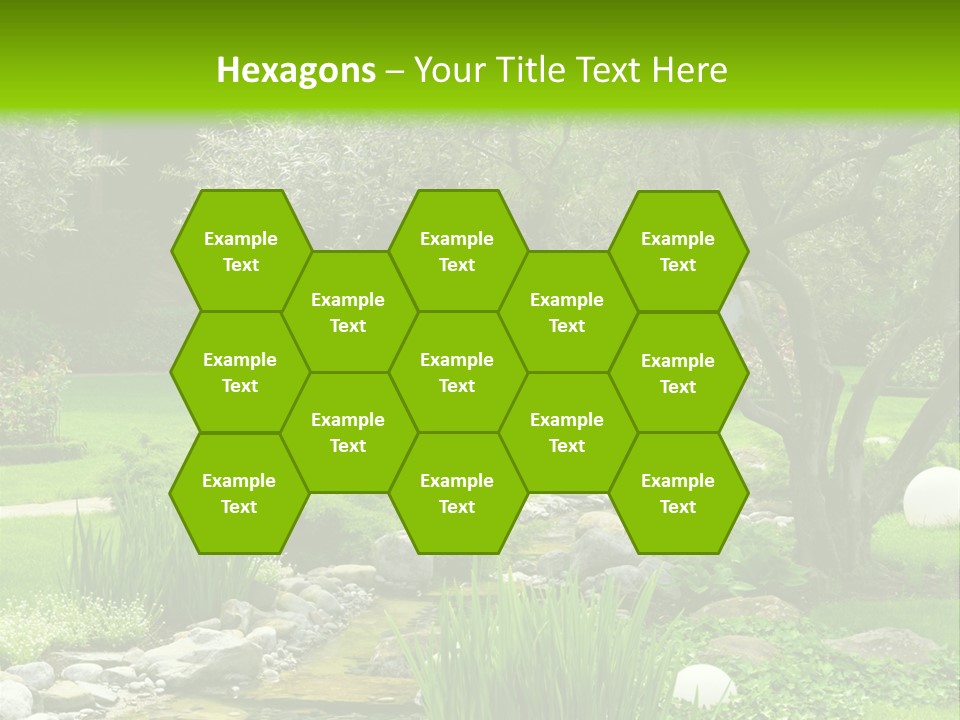 Plant Japanese Water PowerPoint Template