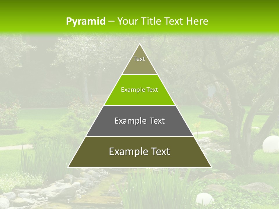 Plant Japanese Water PowerPoint Template