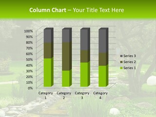 Plant Japanese Water PowerPoint Template