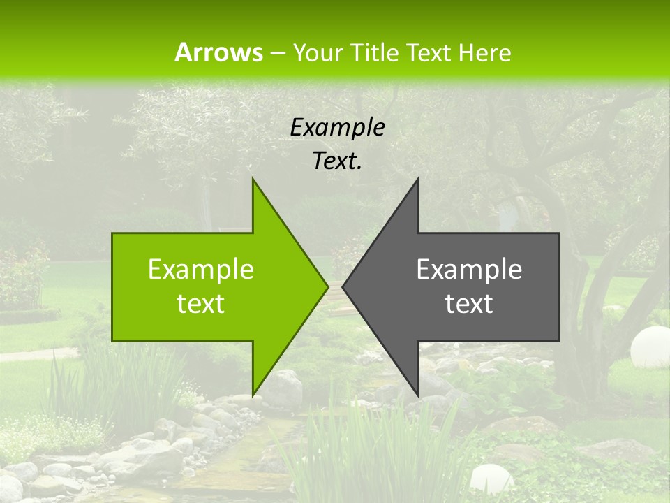 Plant Japanese Water PowerPoint Template