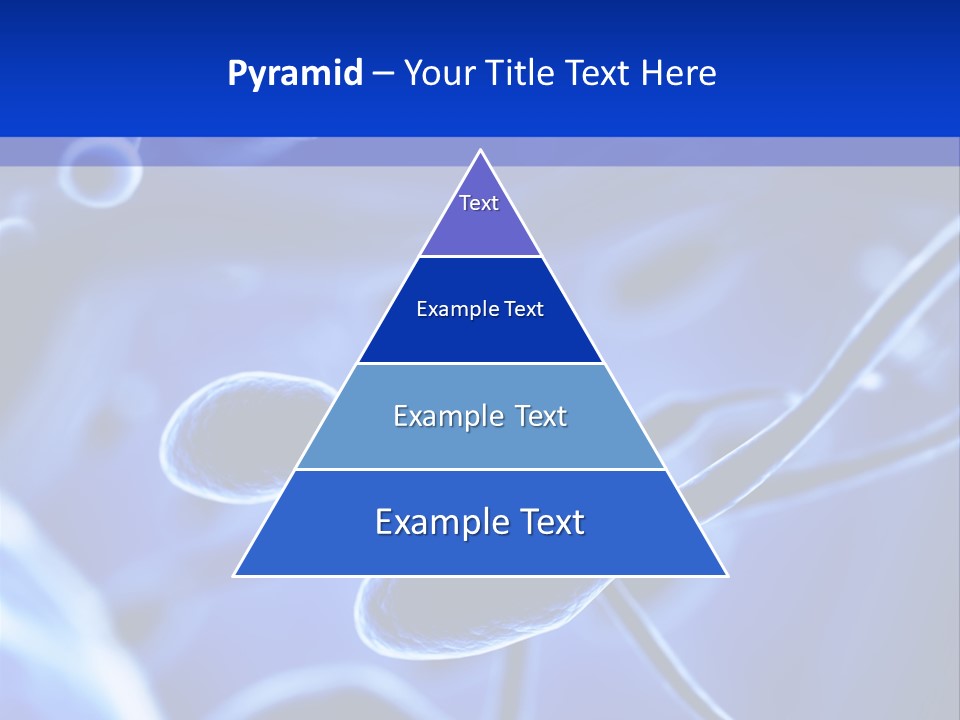Genetic Winner Pregnancy PowerPoint Template