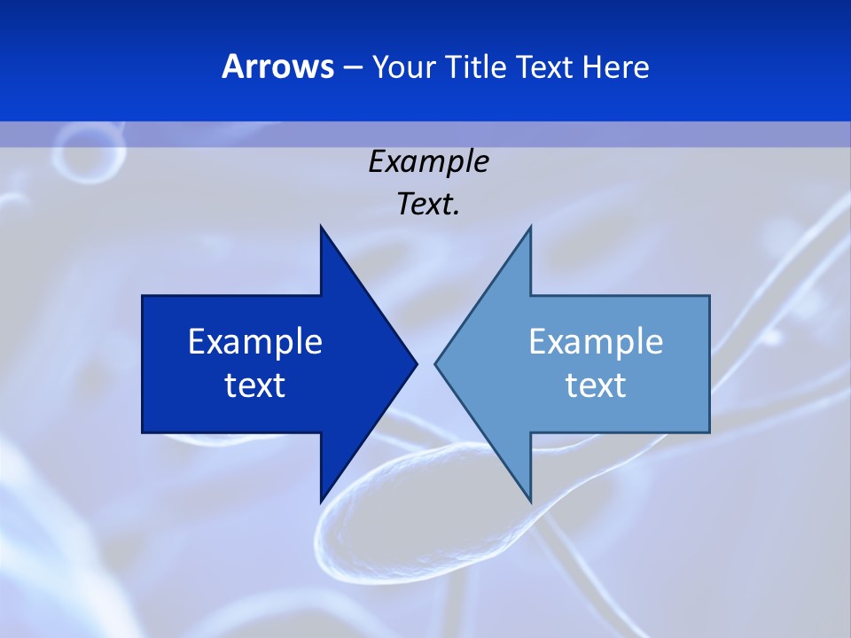 Genetic Winner Pregnancy PowerPoint Template