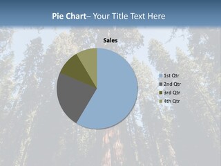 Sequoia Mountain California PowerPoint Template