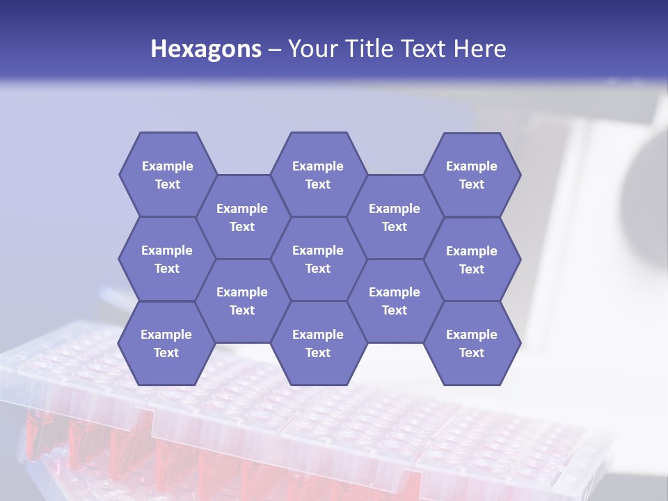 Multiwell Sample Container PowerPoint Template