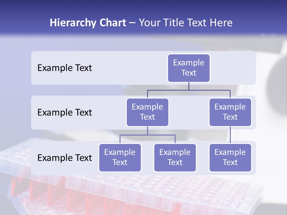 Multiwell Sample Container PowerPoint Template