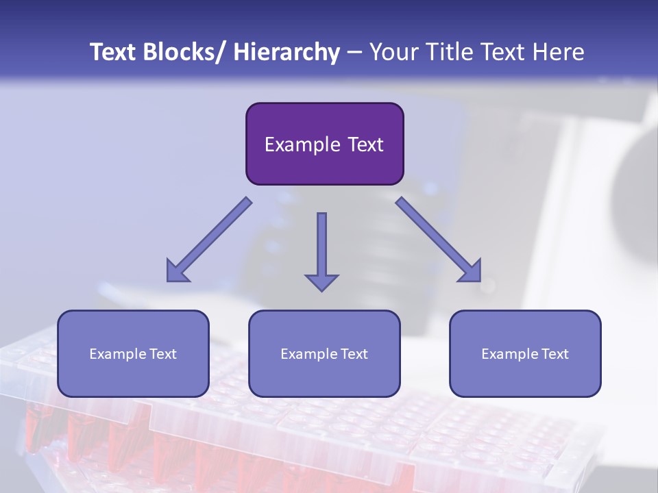 Multiwell Sample Container PowerPoint Template