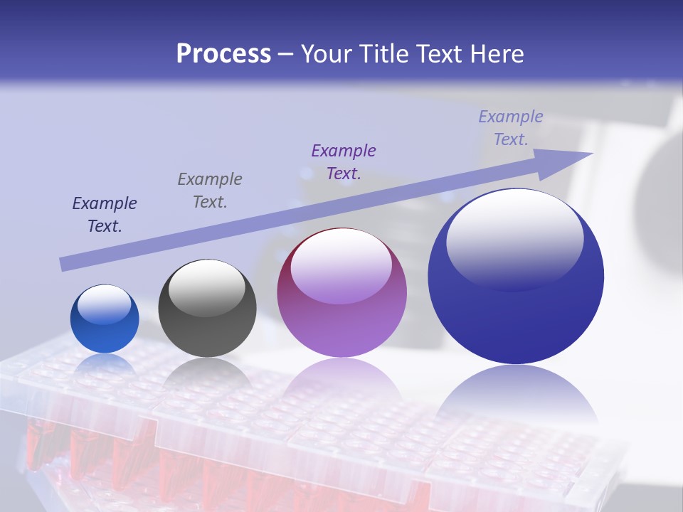 Multiwell Sample Container PowerPoint Template