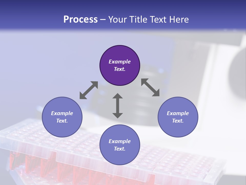 Multiwell Sample Container PowerPoint Template