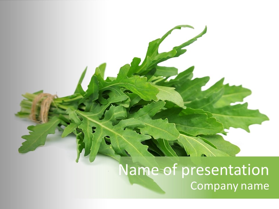 Eating Sativa White PowerPoint Template