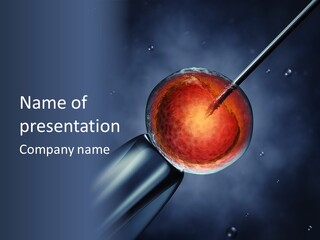 Life Fertility Blastocyst PowerPoint Template