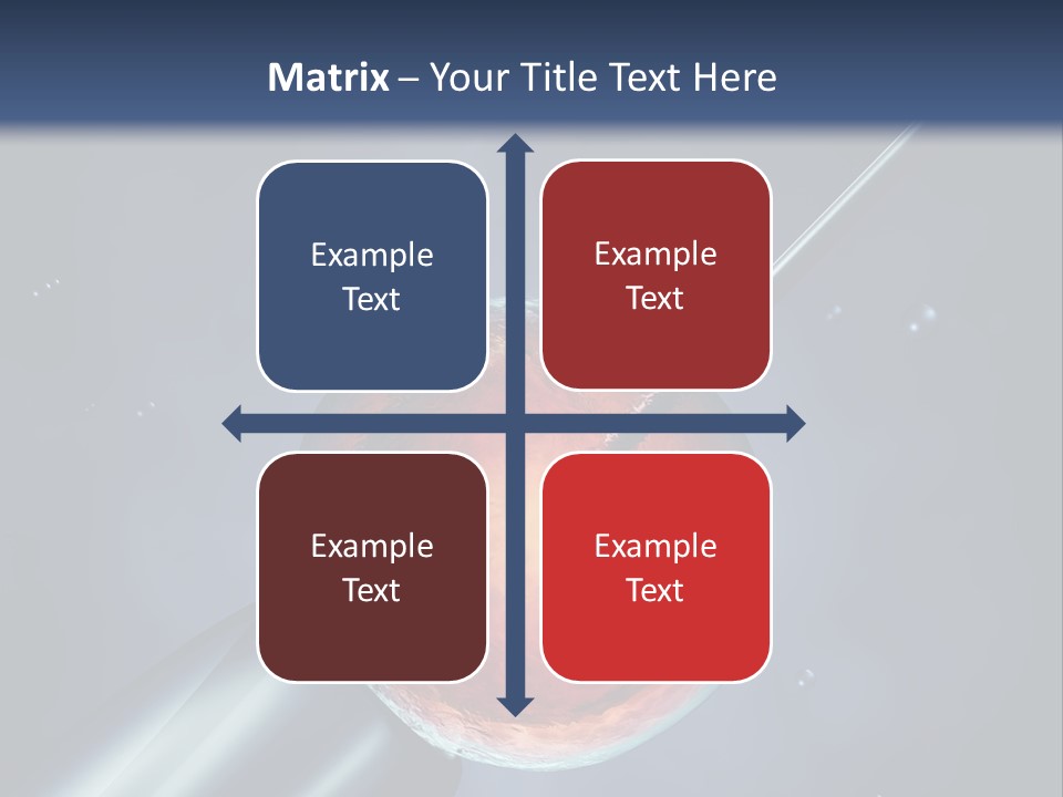 Life Fertility Blastocyst PowerPoint Template