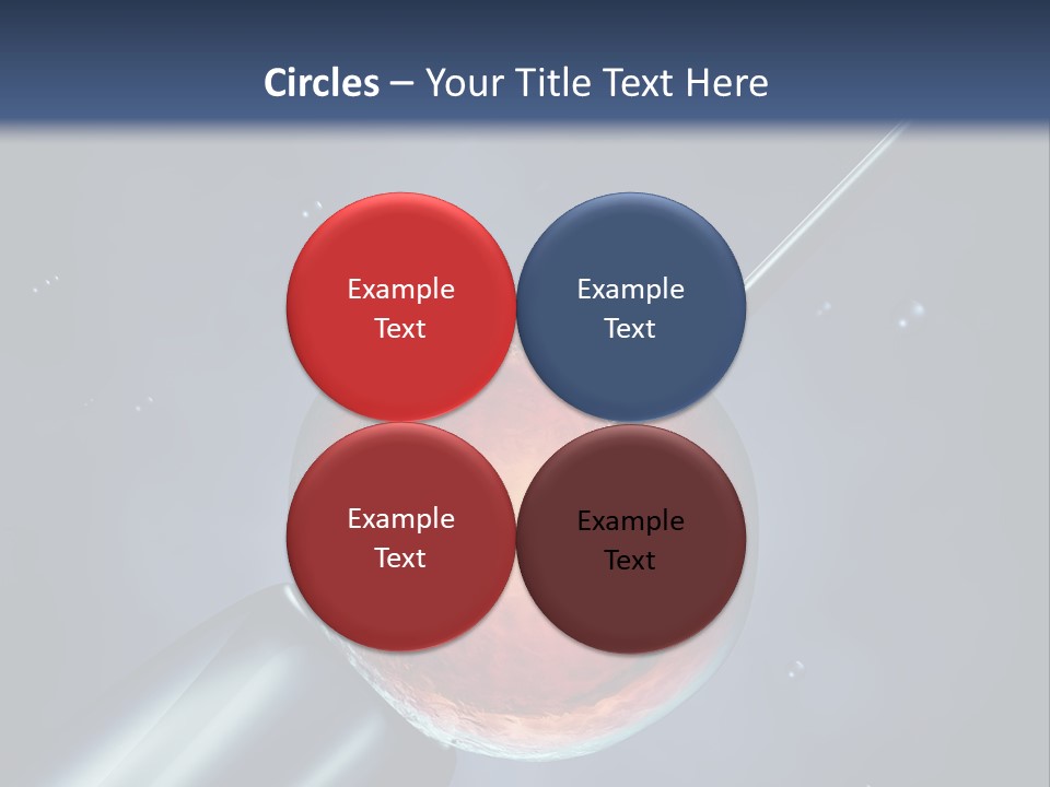 Life Fertility Blastocyst PowerPoint Template