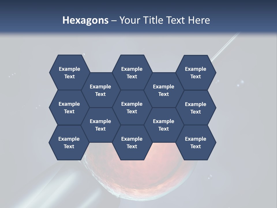 Life Fertility Blastocyst PowerPoint Template