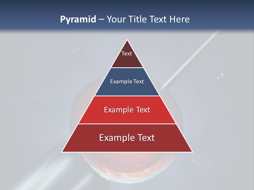 Life Fertility Blastocyst PowerPoint Template