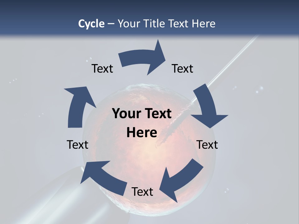 Life Fertility Blastocyst PowerPoint Template