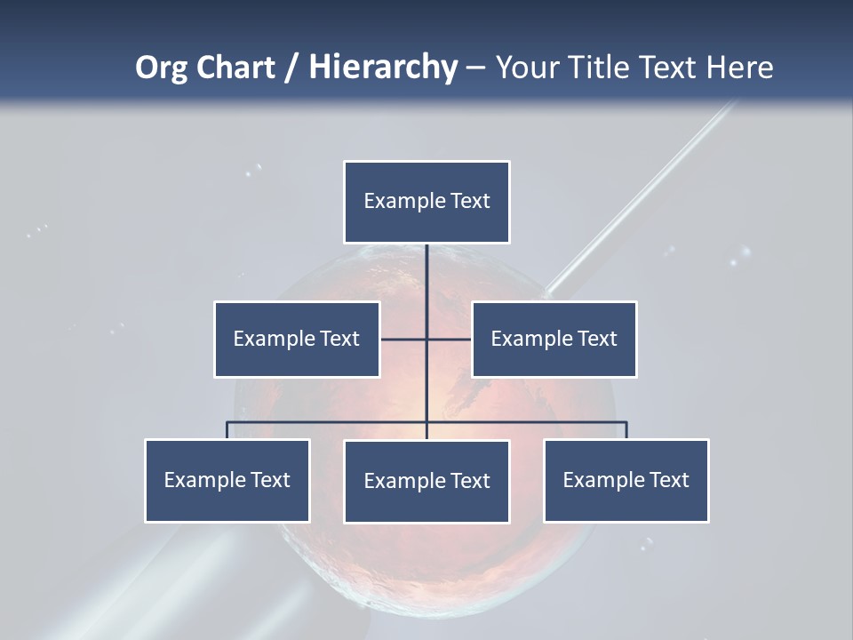 Life Fertility Blastocyst PowerPoint Template