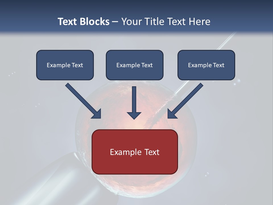 Life Fertility Blastocyst PowerPoint Template