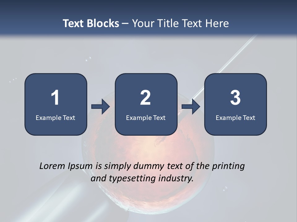 Life Fertility Blastocyst PowerPoint Template