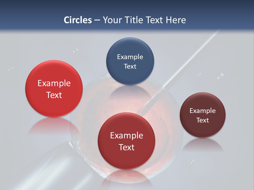 Life Fertility Blastocyst PowerPoint Template