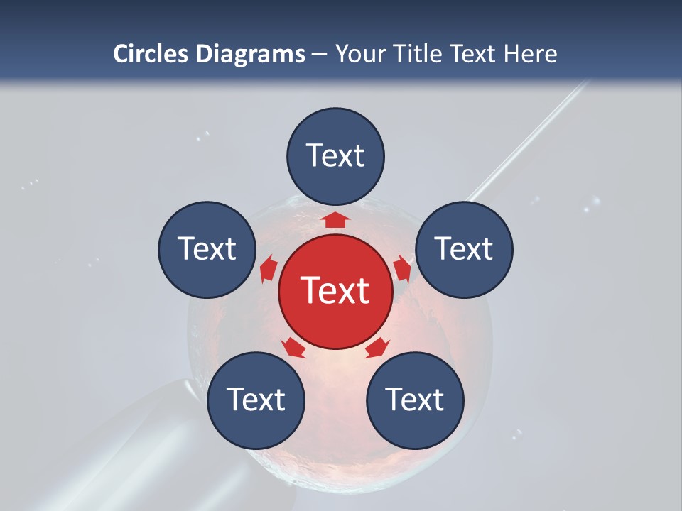 Life Fertility Blastocyst PowerPoint Template