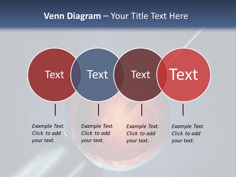 Life Fertility Blastocyst PowerPoint Template