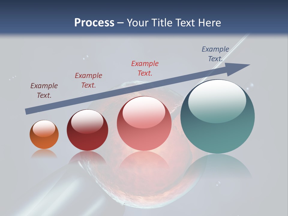 Life Fertility Blastocyst PowerPoint Template