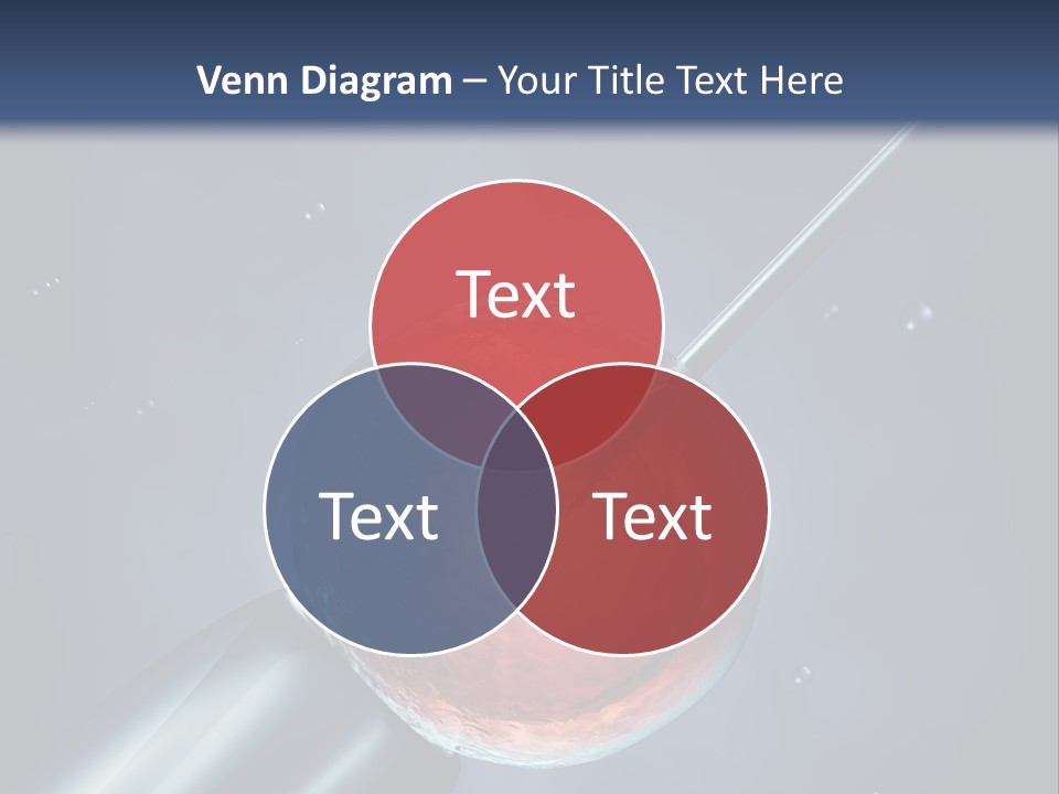Life Fertility Blastocyst PowerPoint Template
