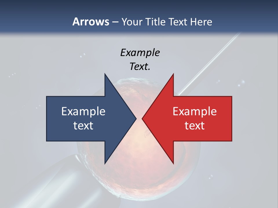 Life Fertility Blastocyst PowerPoint Template