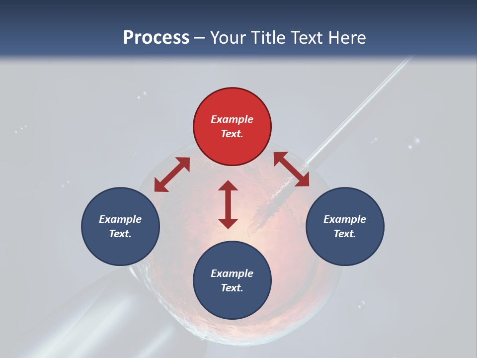 Life Fertility Blastocyst PowerPoint Template