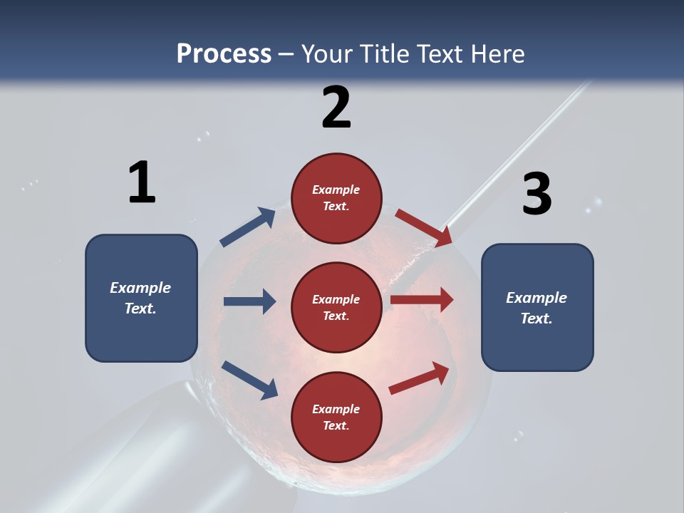 Life Fertility Blastocyst PowerPoint Template