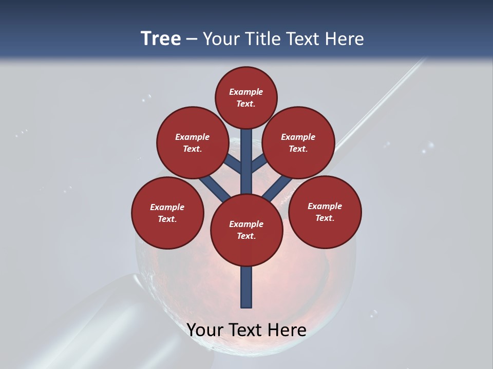 Life Fertility Blastocyst PowerPoint Template