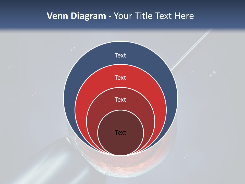 Life Fertility Blastocyst PowerPoint Template