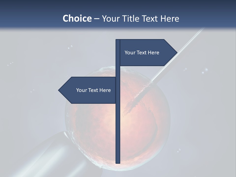 Life Fertility Blastocyst PowerPoint Template