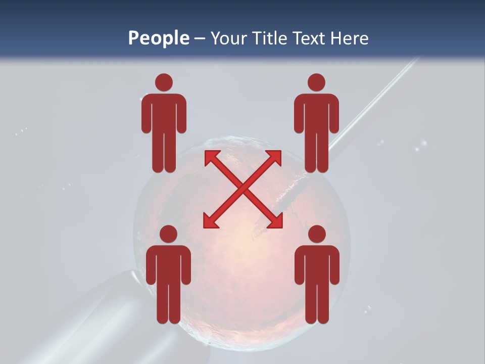 Life Fertility Blastocyst PowerPoint Template