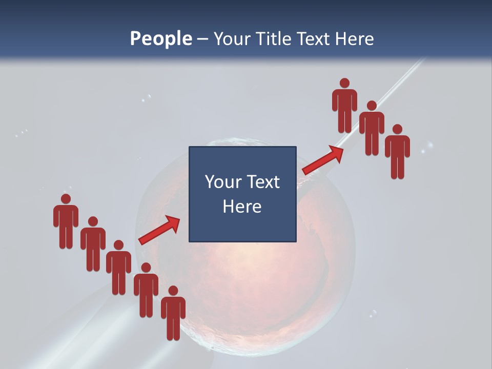 Life Fertility Blastocyst PowerPoint Template