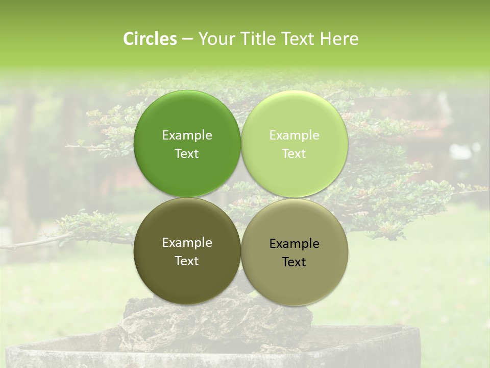 Small Fresh Tiny PowerPoint Template