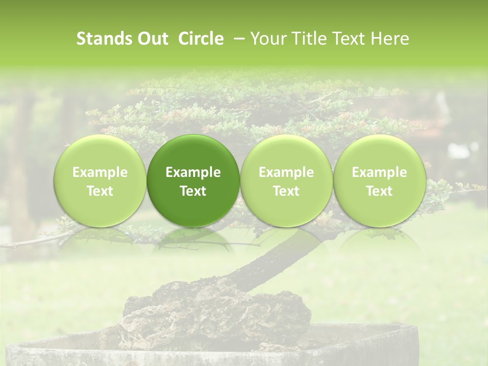 Small Fresh Tiny PowerPoint Template