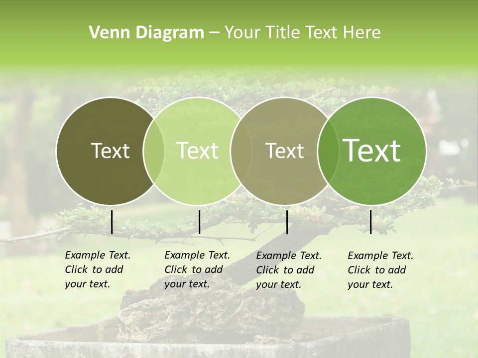 Small Fresh Tiny PowerPoint Template
