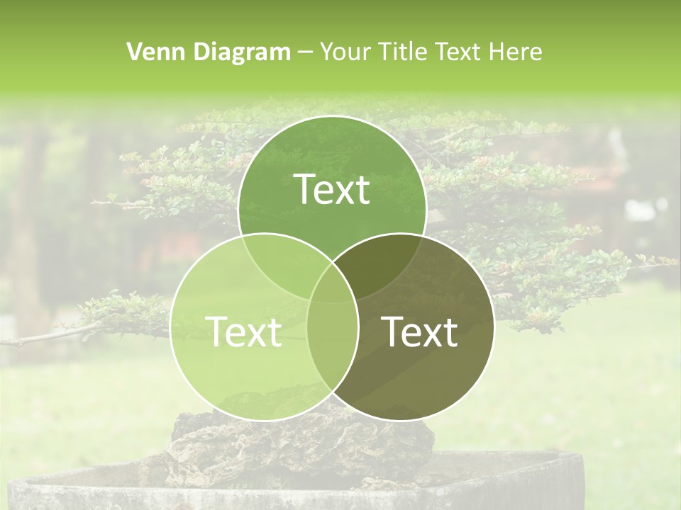 Small Fresh Tiny PowerPoint Template