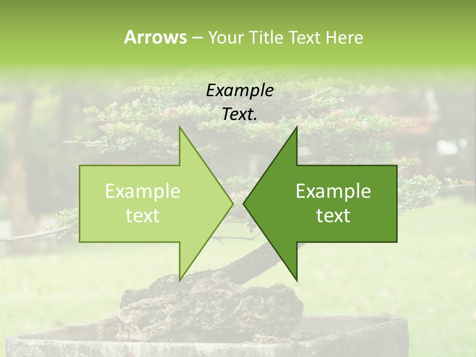 Small Fresh Tiny PowerPoint Template